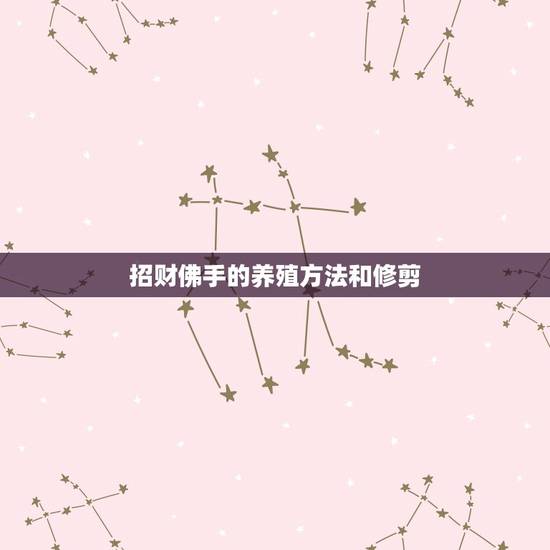 招财佛手的养殖方法和修剪，招财佛手怎么养