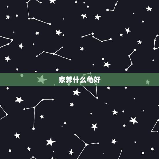 家养什么龟好，家里养哪种乌龟比较好