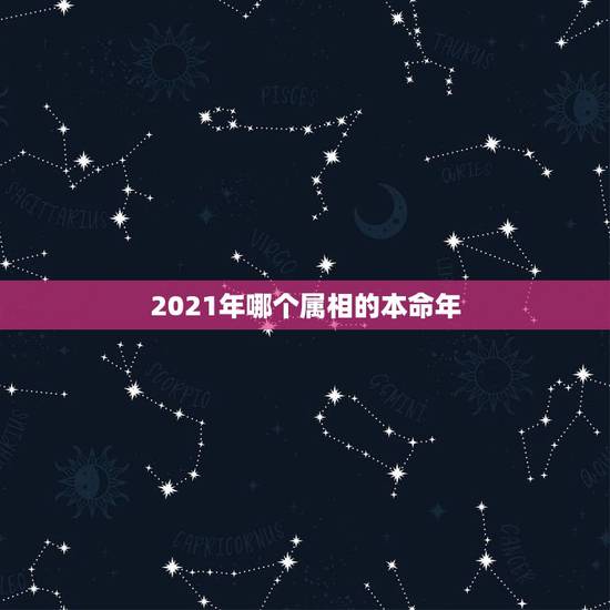 2021年哪个属相的本命年，2021的太岁五大属相