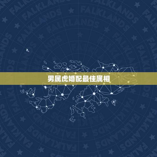 男属虎婚配最佳属相,男属虎最佳婚配属相 男属虎婚配最佳属相,男属虎最佳婚配属相