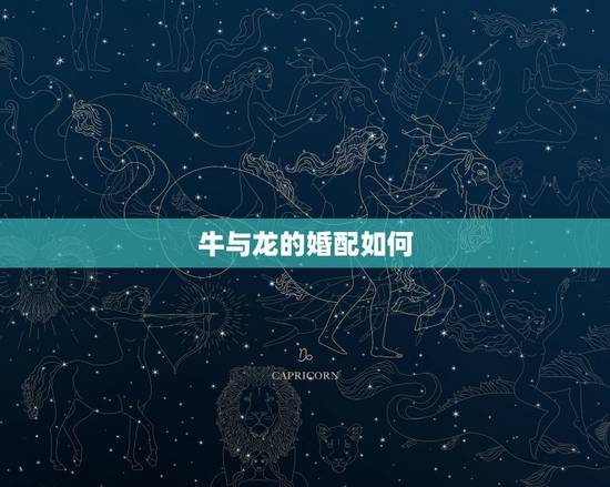 牛与龙的婚配如何,牛与龙属相合不合 牛与龙的婚配如何,牛与龙属相合不合