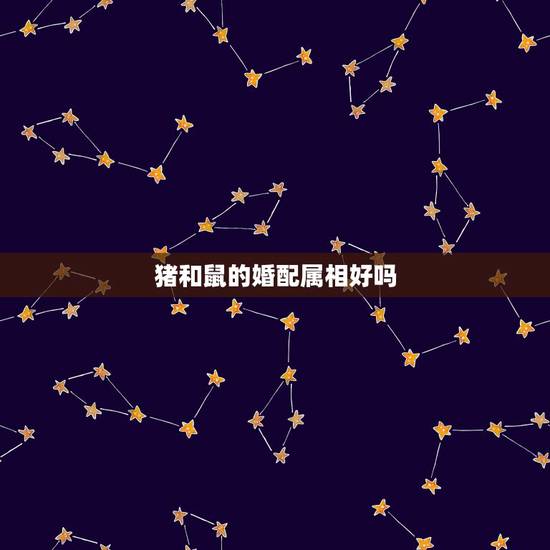 猪和鼠的婚配属相好吗,属相婚配属猪配属鼠 猪和鼠的婚配属相好吗,属相婚配属猪配属鼠