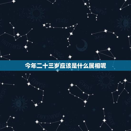 今年二十三岁应该是什么属相呢，二十三岁属什么