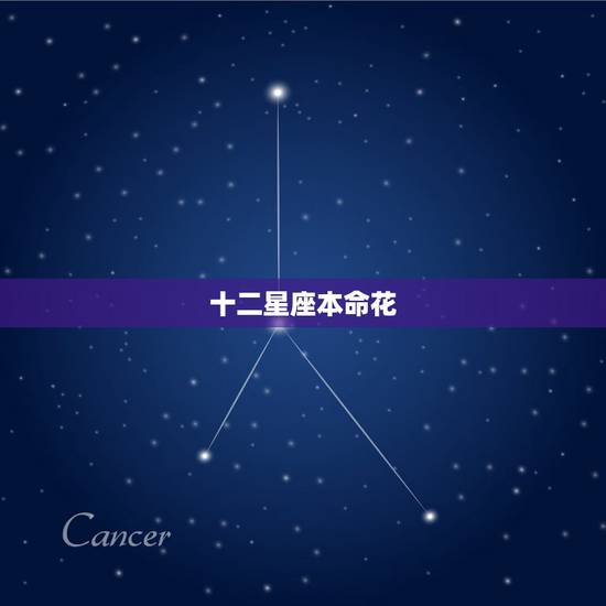 十二星座本命花 十二星座的水晶婚纱 十二星座本命花 十二星座的水晶婚纱