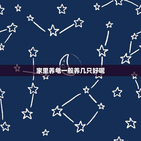 家里养龟一般养几只好呢,乌龟养几只比较吉利? 家里养龟一般养几只好呢,乌龟养几只比较吉利?