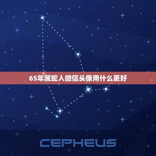 65年属蛇人微信头像用什么更好,属蛇人微信头像图片 65年属蛇人微信头像用什么更好,属蛇人微信头像图片