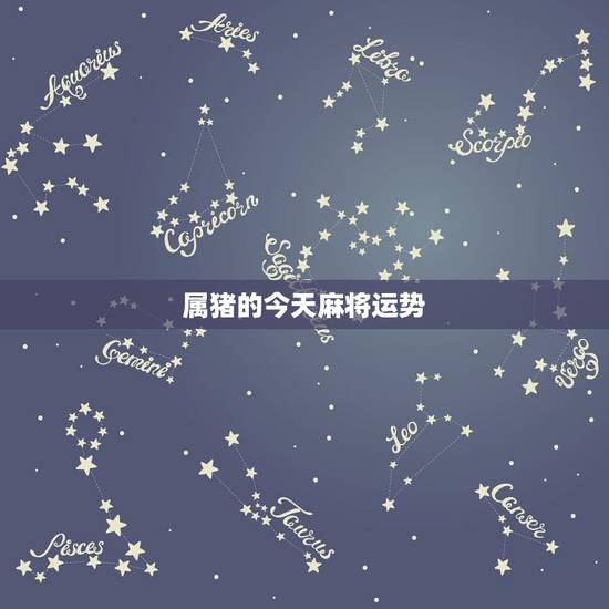 属猪的今天麻将运势，属猪人今日财运打麻将