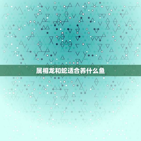 属相龙和蛇适合养什么鱼,属蛇的在家里适合在什么位置养什么鱼 属相龙和蛇适合养什么鱼,属蛇的在家里适合在什么位置养什么鱼