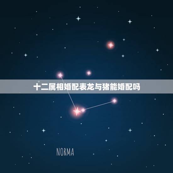十二属相婚配表龙与猪能婚配吗，生肖猪与生肖龙的相配情况是怎样的呢