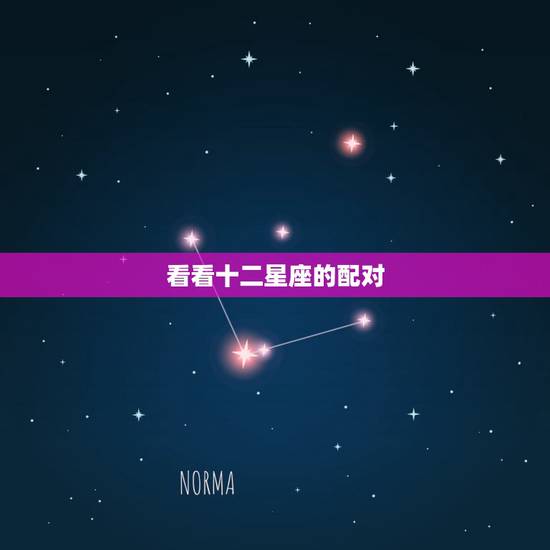 看看十二星座的配对，十二星座恋爱配对