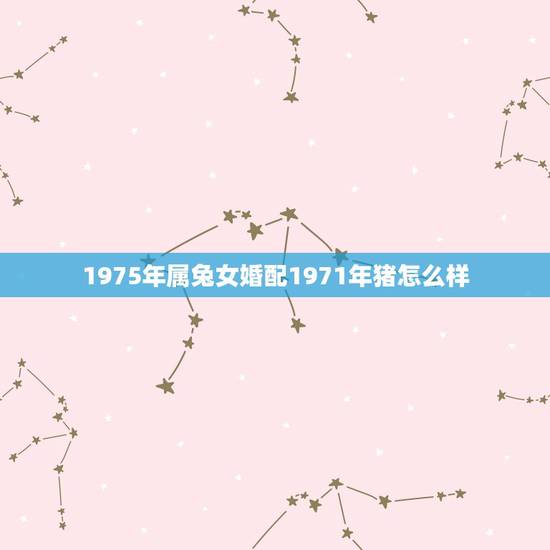 1975年属兔女婚配1971年猪怎么样，1971属猪男和1975兔女相
