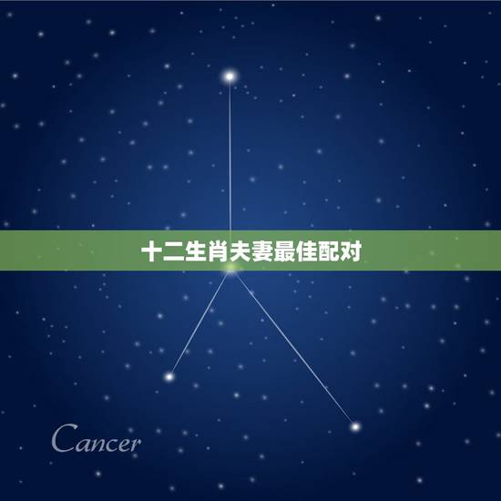 十二生肖夫妻最佳配对，十二生肖种羊和什么是最好的配偶呢！