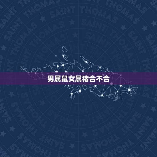 男属鼠女属猪合不合，96鼠95猪结婚好不好
