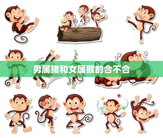 男属猪和女属猴的合不合(星座配对分析)
