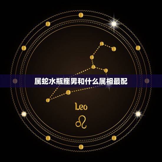 属蛇水瓶座男和什么属相最配，我是属蛇的水瓶座和什么生肖什么星座比较配