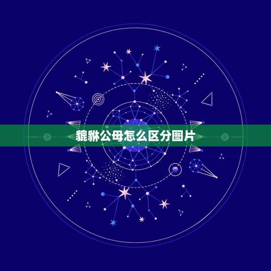 貔貅公母怎么区分图片，貔貅的公母怎样区分？