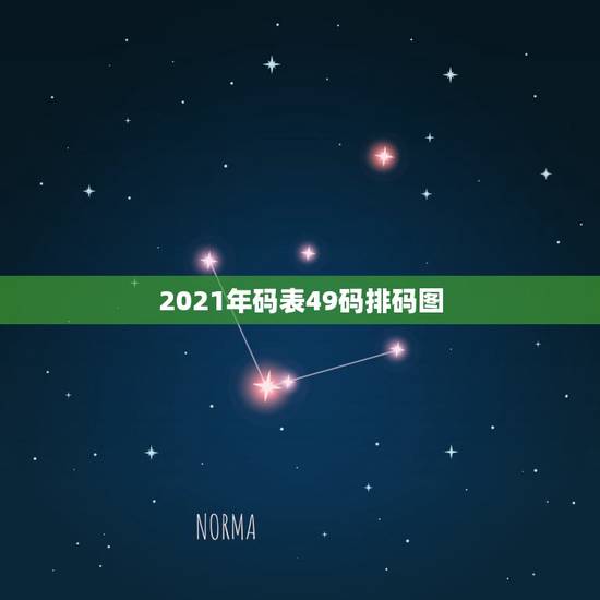 2021年码表49码排码图，求一张2006年生肖排码对照图片，谢谢