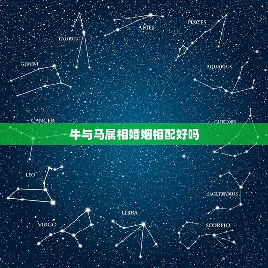牛与马属相婚姻相配好吗,生肖配对查询牛和马能不能相配? 牛与马属相婚姻相配好吗,生肖配对查询牛和马能不能相配?