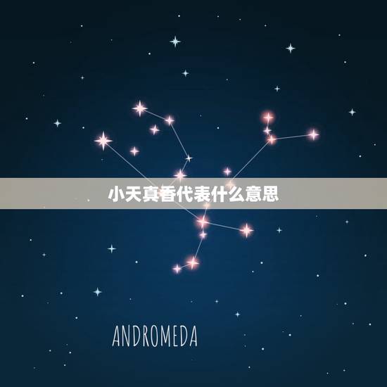 小天真香代表什么意思,烧香烧到“小天真”是什么意思啊 小天真香代表什么意思,烧香烧到“小天真”是什么意思啊