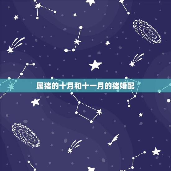 属猪的十月和十一月的猪婚配，属猪的属相婚配表