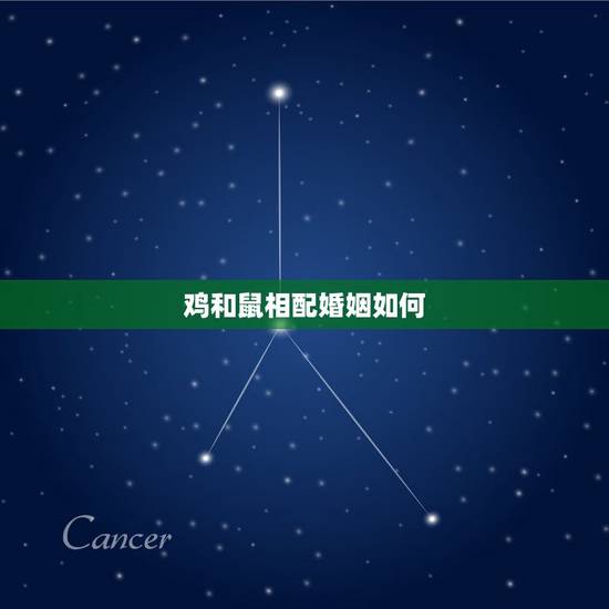 鸡和鼠相配婚姻如何,鼠和鸡相配婚姻如何 鸡和鼠相配婚姻如何,鼠和鸡相配婚姻如何