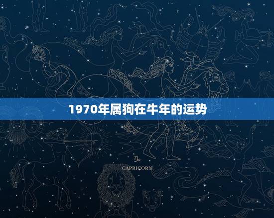 1970年属狗在牛年的运势，2022 年属狗人的烂桃花