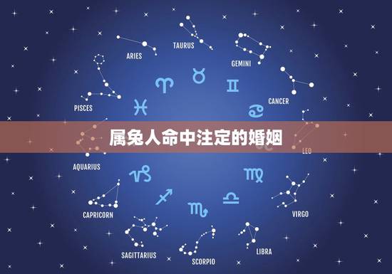 属兔人命中注定的婚姻，1987年属兔2022 年运势
