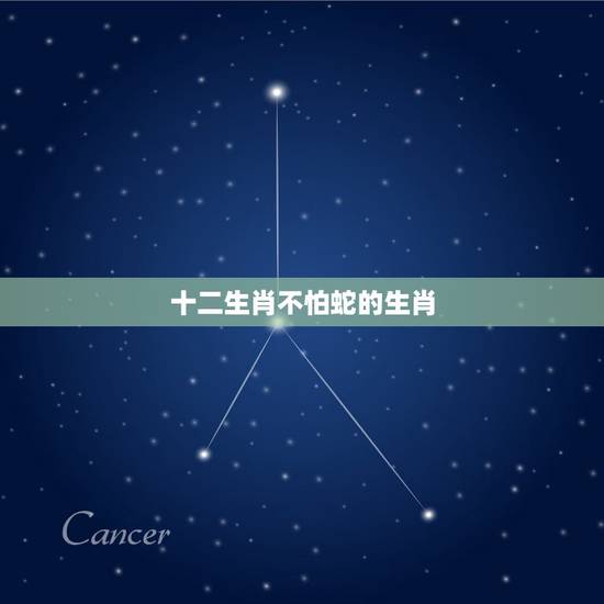十二生肖不怕蛇的生肖,属蛇的几月的好 十二生肖不怕蛇的生肖,属蛇的几月的好
