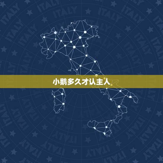 小鹅多久才认主人,重庆哪里有卖毛蛋?主城的 小鹅多久才认主人,重庆哪里有卖毛蛋?主城的