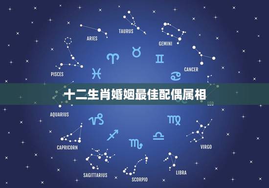 十二生肖婚姻最佳配偶属相,十二生肖婚姻配对最好呢? 十二生肖婚姻最佳配偶属相,十二生肖婚姻配对最好呢?