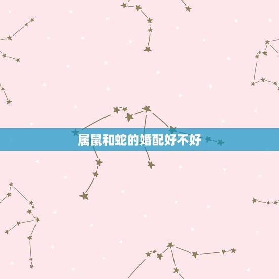 属鼠和蛇的婚配好不好,属蛇的最佳婚配是什么?属鼠的配吗 属鼠和蛇的婚配好不好,属蛇的最佳婚配是什么?属鼠的配吗
