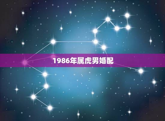 1986年属虎男婚配，1986年属虎的人婚配1977的男人会怎么样