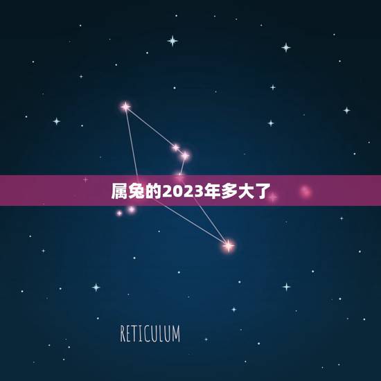 属兔的2023年多大了,属鸡今年多大 属兔的2023年多大了,属鸡今年多大