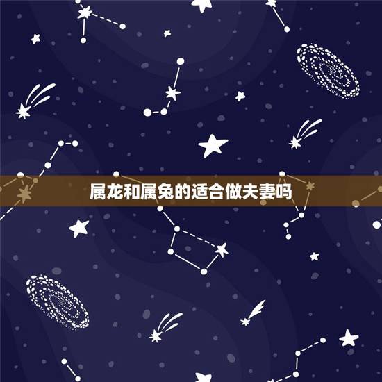 属龙和属兔的适合做夫妻吗,龙和兔结婚能过到老吗 属龙和属兔的适合做夫妻吗,龙和兔结婚能过到老吗