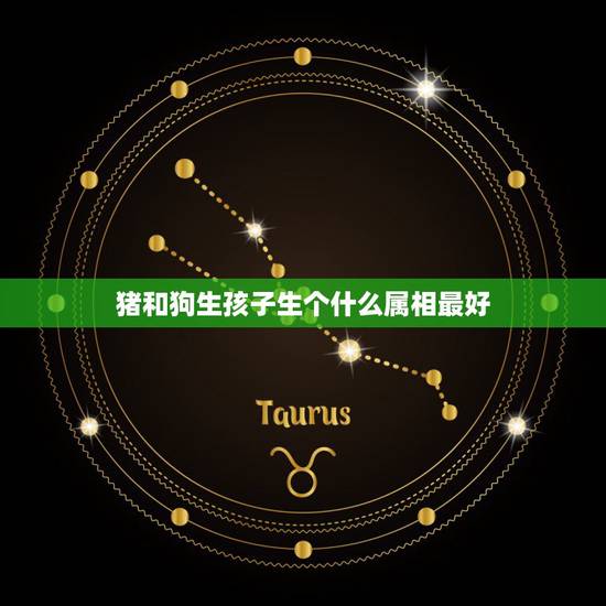 猪和狗生孩子生个什么属相最好，属相猪和狗的夫妻生什么属相的儿女才妙
