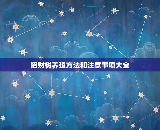 招财树养殖方法和注意事项大全,招财树的养殖方法 招财树养殖方法和注意事项大全,招财树的养殖方法