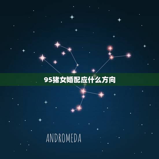 95猪女婚配应什么方向,1995年女猪和什么属相最配 95猪女婚配应什么方向,1995年女猪和什么属相最配