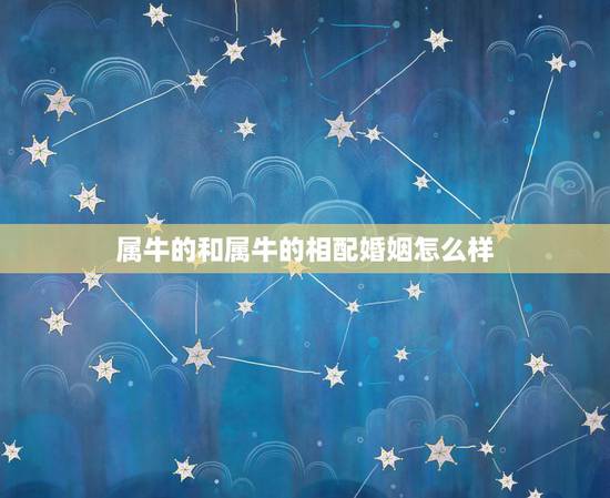 属牛的和属牛的相配婚姻怎么样,97年属牛更佳结婚年龄 属牛的和属牛的相配婚姻怎么样,97年属牛更佳结婚年龄