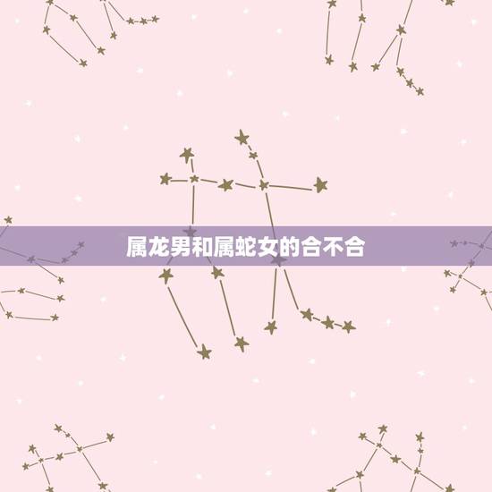 属龙男和属蛇女的合不合,属龙和属牛的合不合 属龙男和属蛇女的合不合,属龙和属牛的合不合