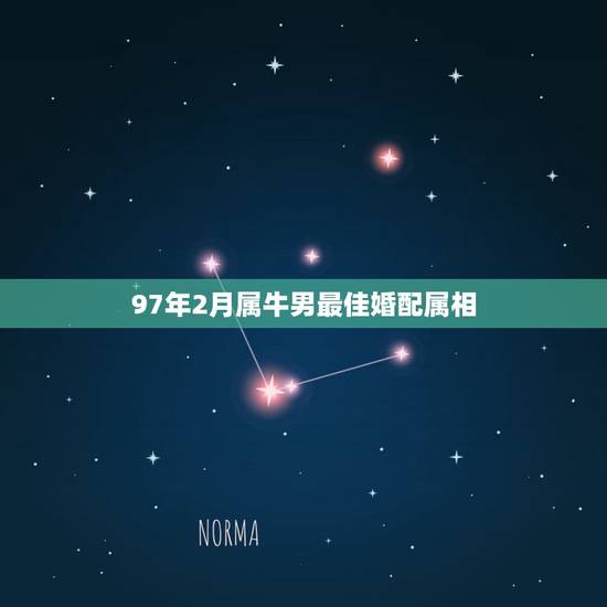 97年2月属牛男最佳婚配属相，华易网1997年属牛女婚配1997年属牛