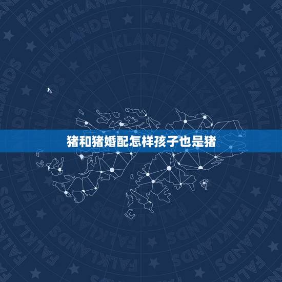 猪和猪婚配怎样孩子也是猪，属猪和属猪相配吗？