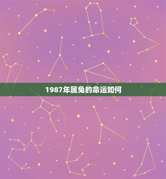 1987年属兔的命运如何，1987年属兔32岁后命运