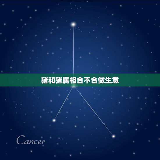 猪和猪属相合不合做生意,猪和什么属相不能合伙做生意 猪和猪属相合不合做生意,猪和什么属相不能合伙做生意