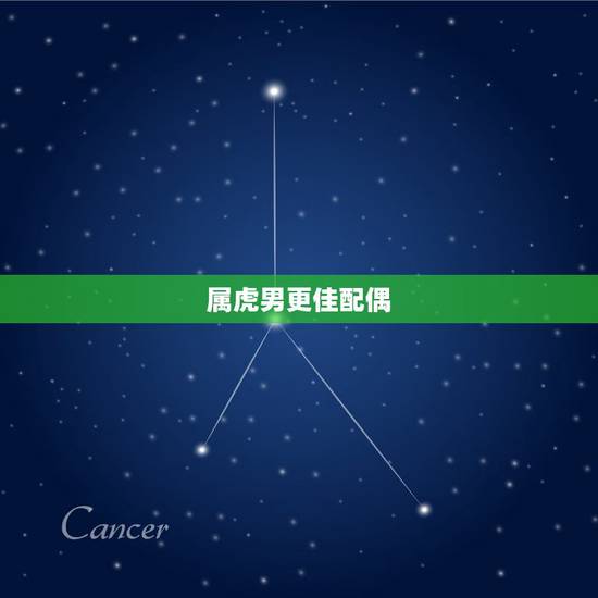 属虎男更佳配偶,属虎男的婚配属相 属虎男更佳配偶,属虎男的婚配属相