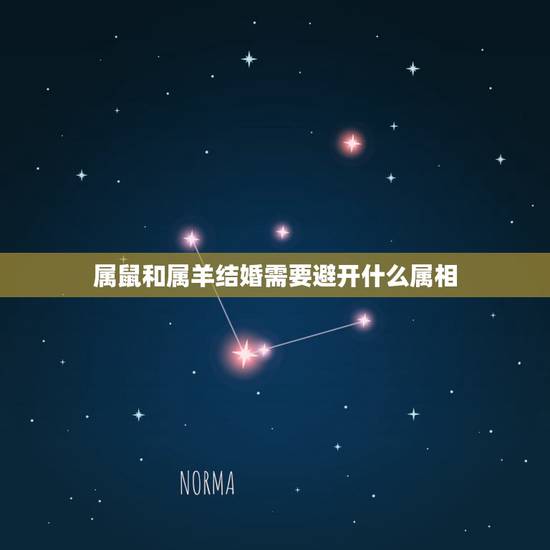 属鼠和属羊结婚需要避开什么属相,属羊能不能与属鼠结婚 属鼠和属羊结婚需要避开什么属相,属羊能不能与属鼠结婚