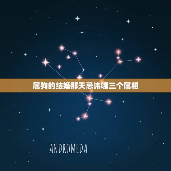 属狗的结婚那天忌讳哪三个属相，属狗男的和什么属相最配