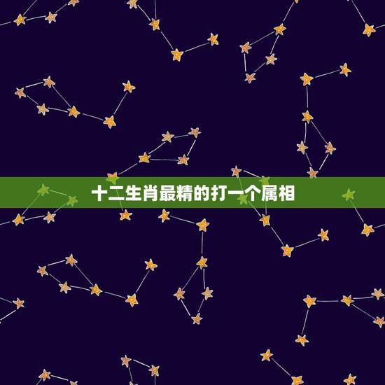 十二生肖最精的打一个属相，请问，十二生肖它最精，是什么生肖