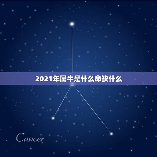 2021年属牛是什么命缺什么，2021年牛年是什么命