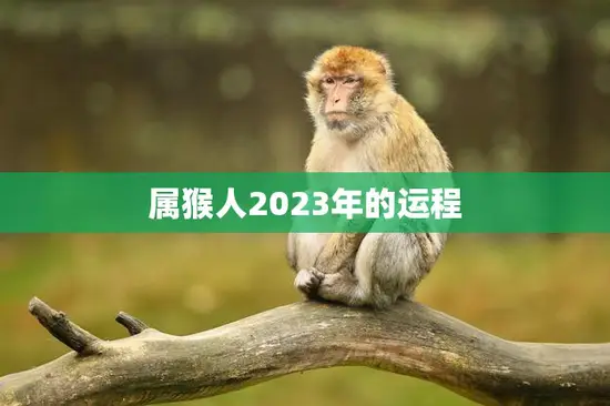 属猴人2023年的运程(幸运星高照财运亨通) 属猴人2023年的运程(幸运星高照财运亨通)