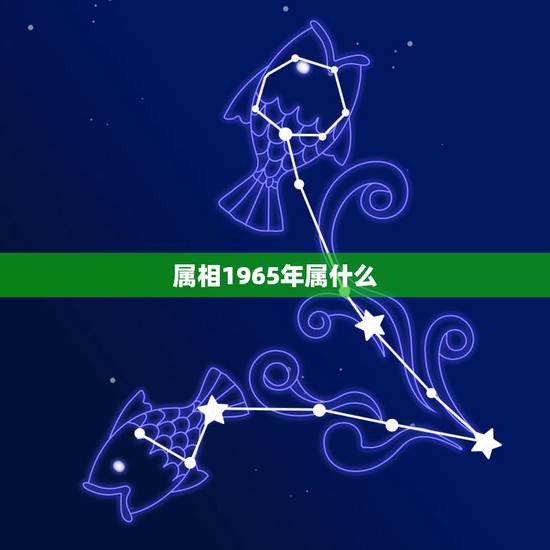 属相1965年属什么，请问：1965年出生的人属什么？